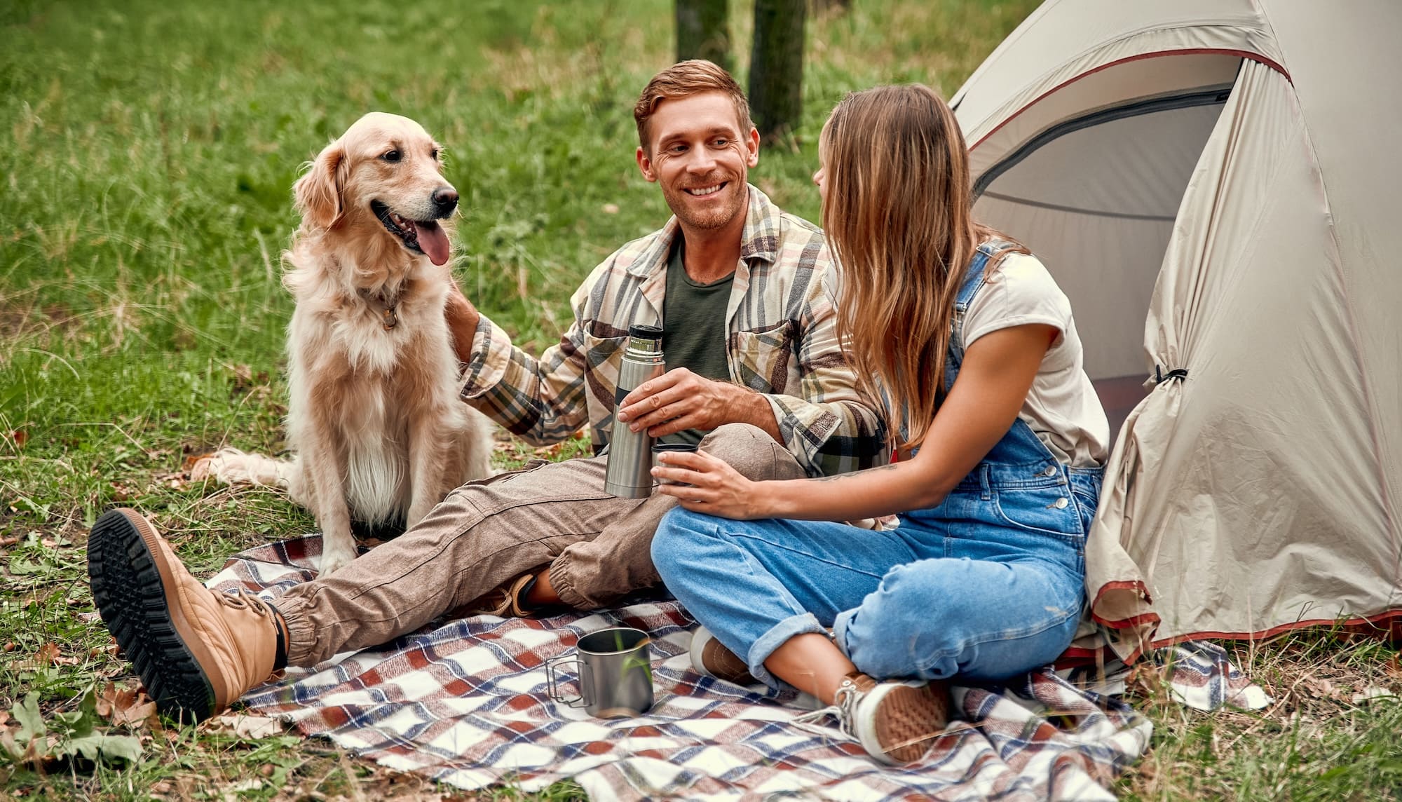 Camping les iÌ‚les Passy ActiviteÌs et services animaux chien