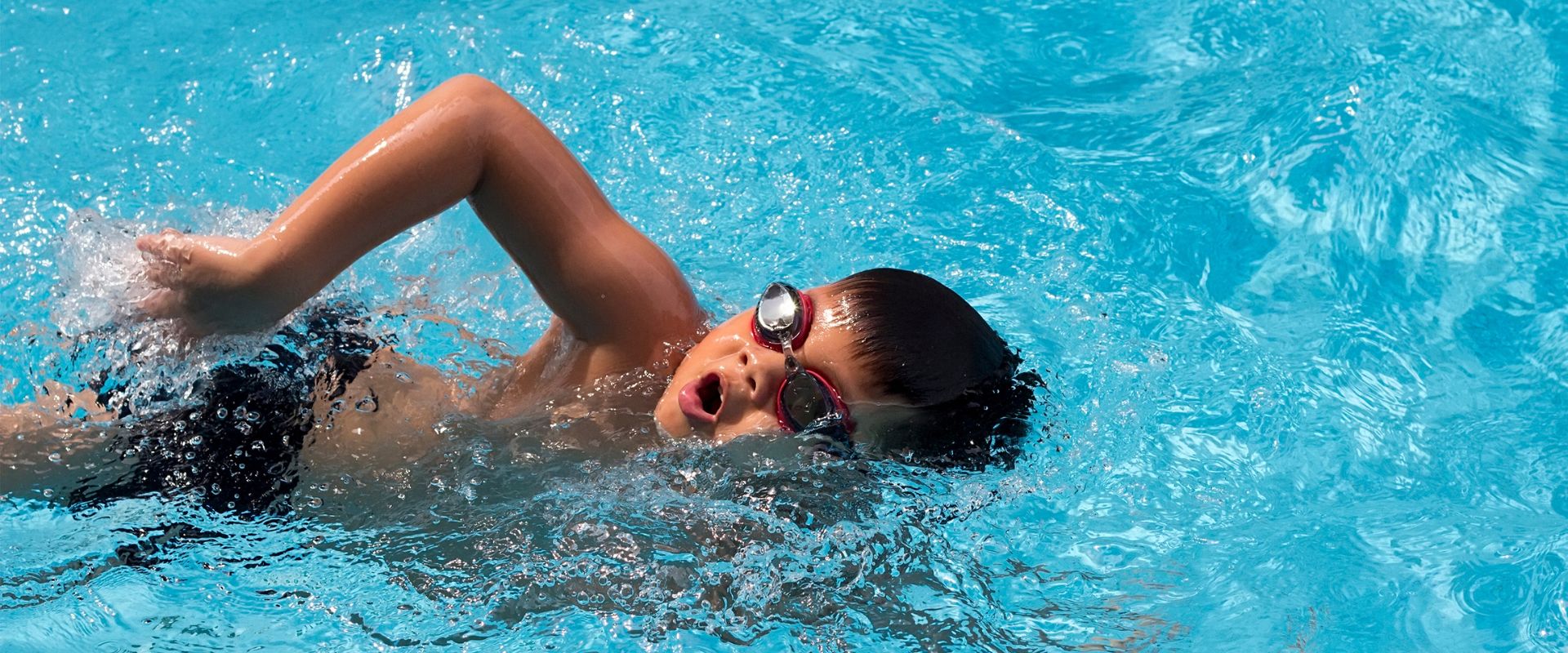Camping de la forêt avec piscine exterieur chauffee