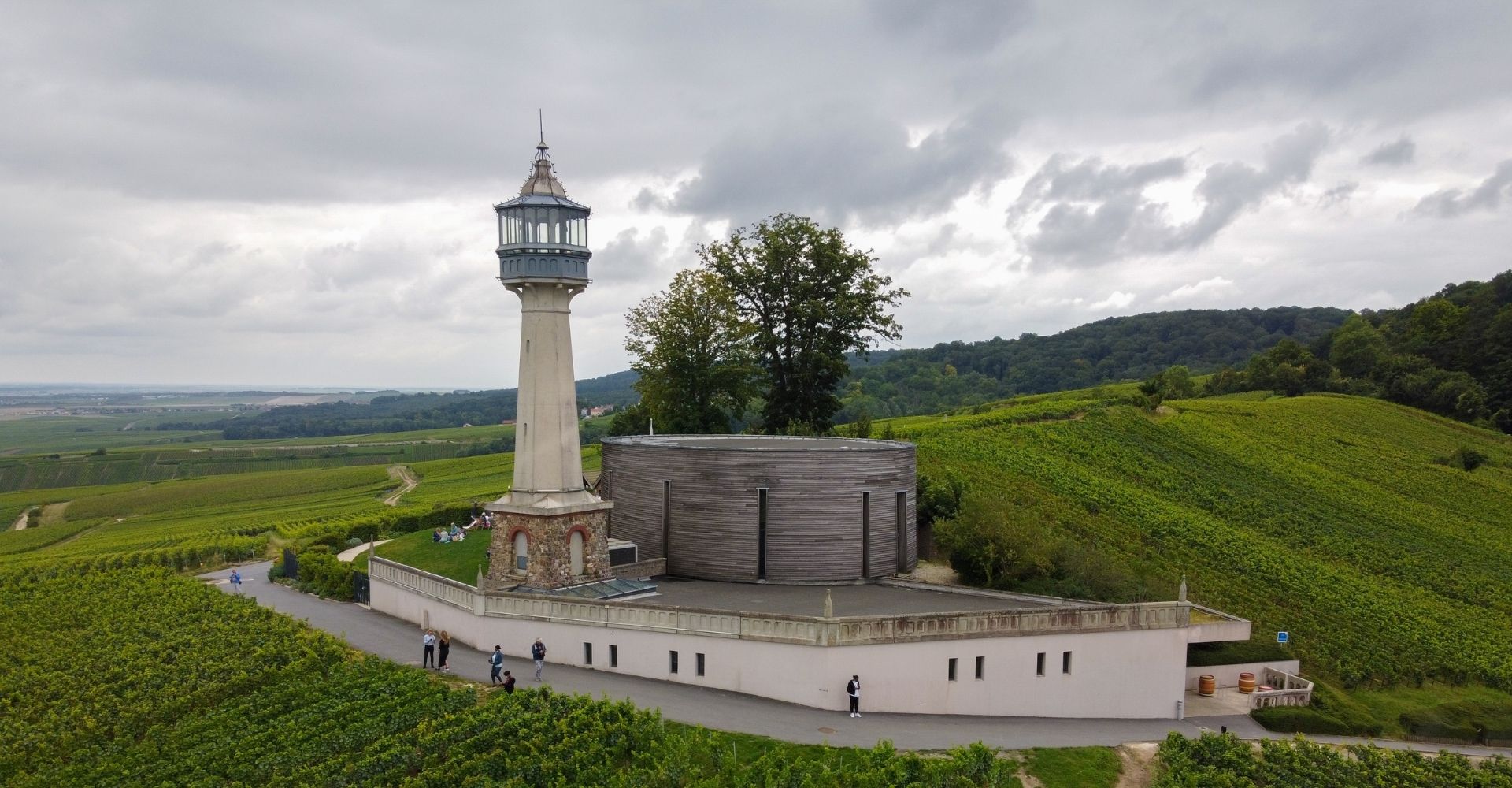 Camping de la forêt phare dans les vignes