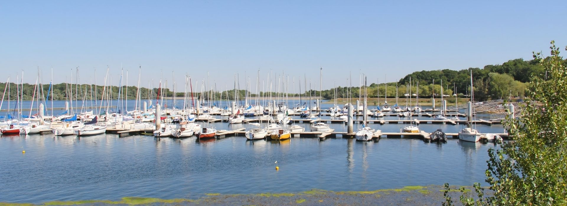 camping proche du lac du der en bord de lac